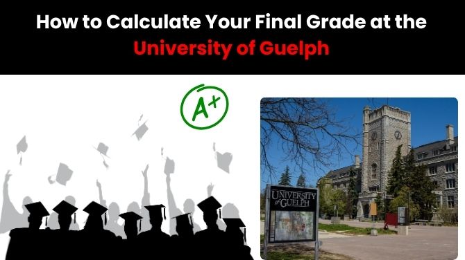 How to Calculate Your Final Grade at the University of Guelph